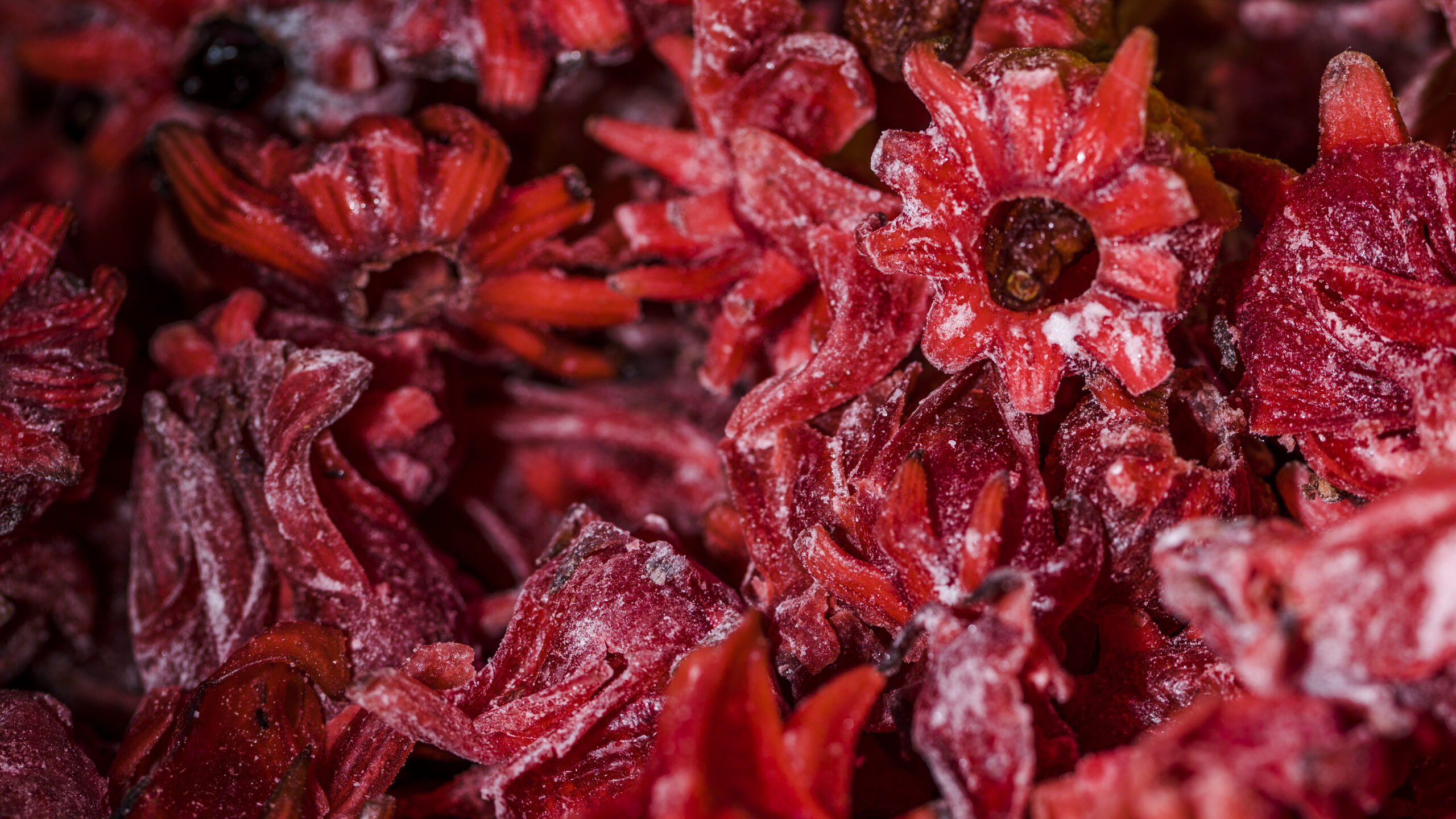 กระเจี๊ยบ,ผลกระเจี๊ยบ