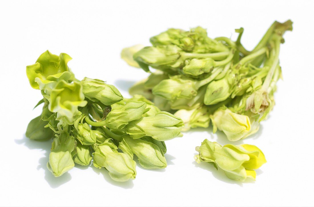 ดอกขจร, ดอกสลิด, สรรพคุณดอกขจร, ประโยชน์ดอกขจร, สมุนไพรดอกขจร, ต้นดอกขจร, ดอกขจรคืออะไร