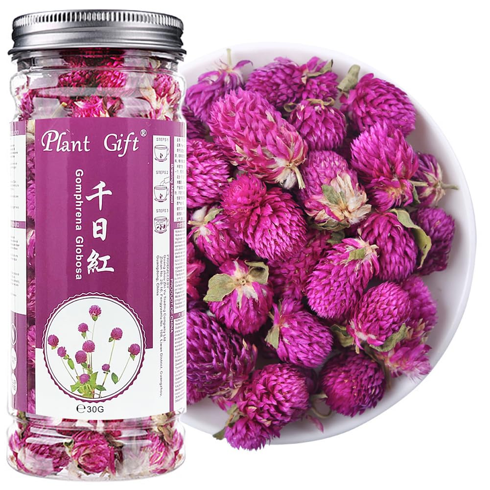 สมุนไพรไทย,สมุนไพรเพื่อสุขภาพ,บานไม่รู้โรย,สรรพคุณบานไม่รู้โรย