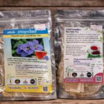 ชาฝาแดง, ชารางจืด